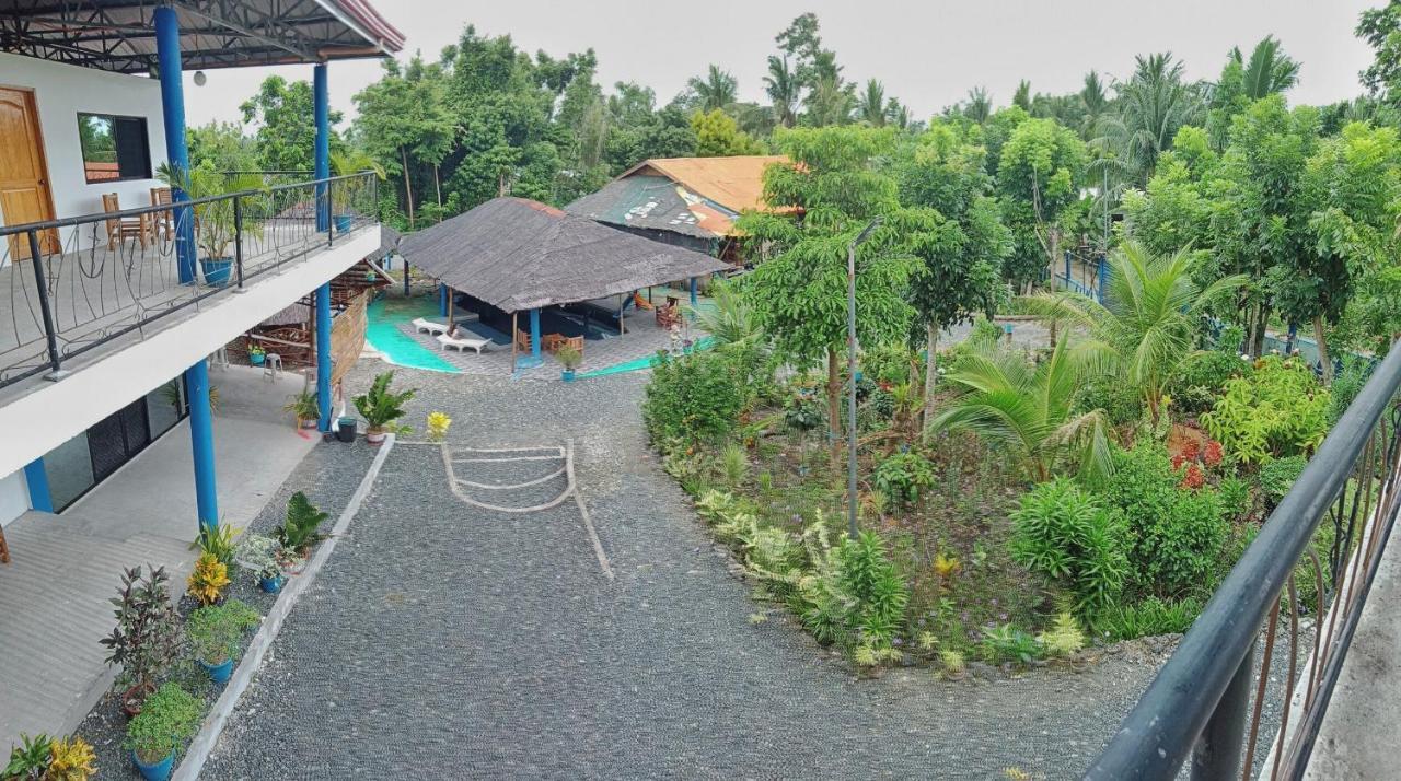 Happy Bear Moalboal Budget Rooms Exterior photo